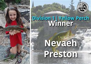 Division 1 | Yellow Perch Winner