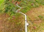New Vergennes Connector Trail